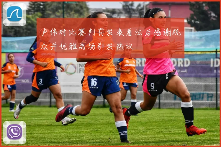 卢伟对比赛判罚发表看法后感谢观众并优雅离场引发热议