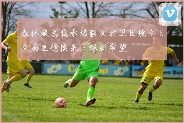森林狼总裁承诺解决控卫困境今日交易里德换来三球新希望
