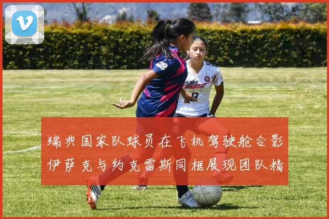 瑞典国家队球员在飞机驾驶舱合影伊萨克与约克雷斯同框展现团队精神