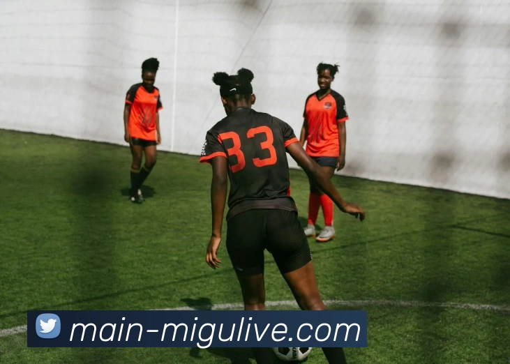 奖项图2