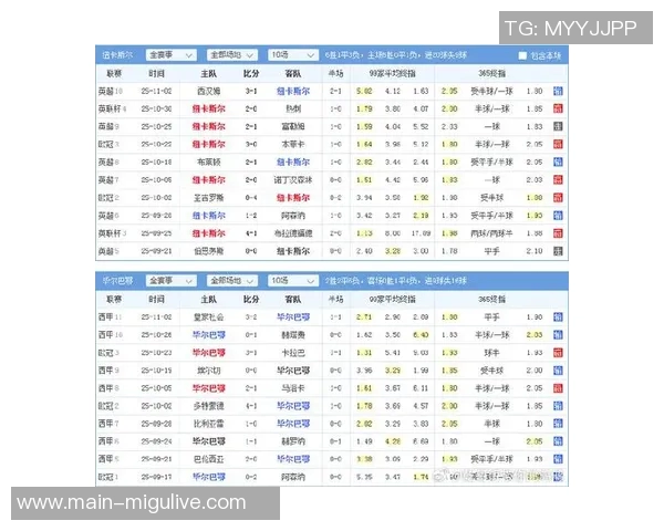 纽卡斯尔本赛季表现分析：联赛低迷与欧冠战绩对比探讨